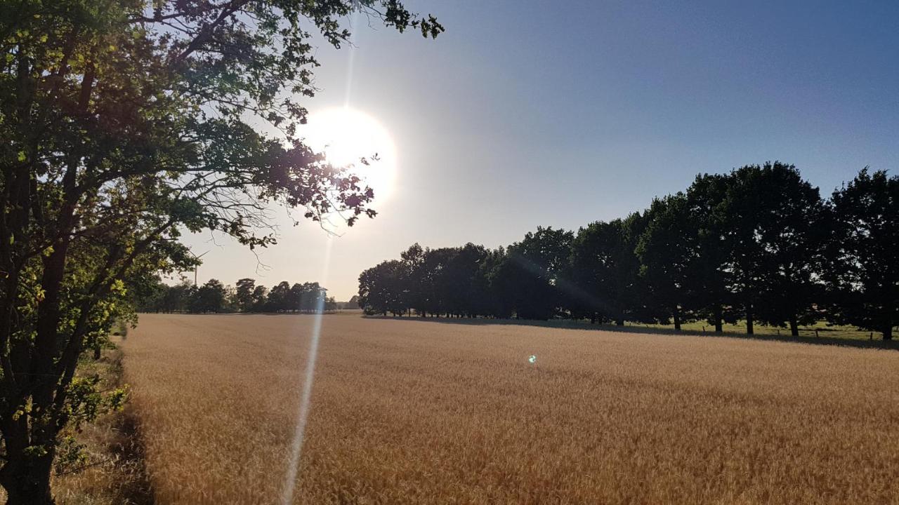 Stadtwohnung In Calau Exteriör bild